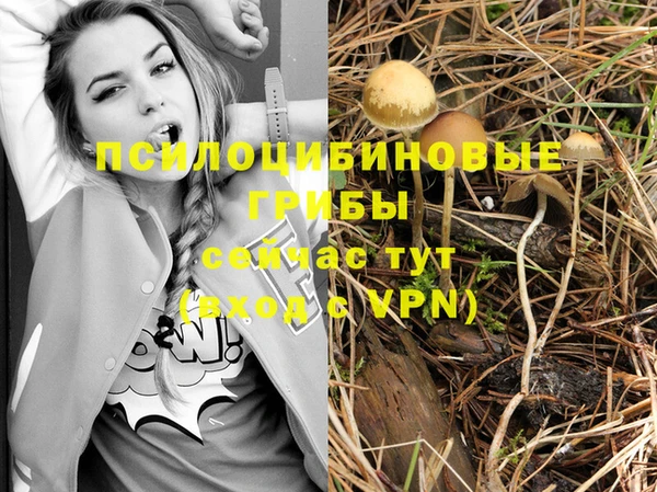 амф Армянск