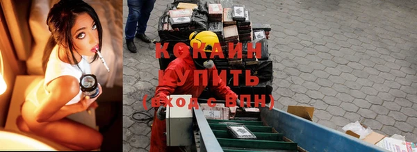 mdpv Новозыбков