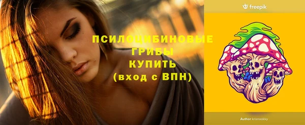 mdpv Новозыбков